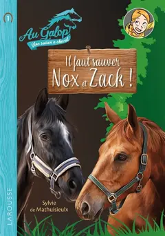 Au galop ! Une saison à cheval, tome 1 : Il faut sauver Nox et Zack !