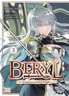 Beryl : de paysan à maître d'armes, tome 3, couverture
