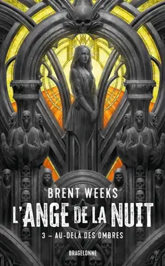 L'ange de la nuit, tome 3 : Au-delà des ombres, couverture