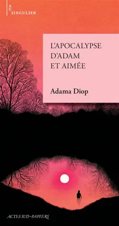 L'apocalypse d'Adam et Aimée, couverture