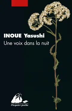 Une voix dans la nuit