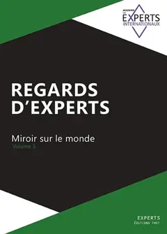 Regards d'experts : miroir sur le monde, tome 5