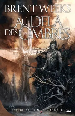 L'ange de la nuit, tome 3 : Au-delà des ombres