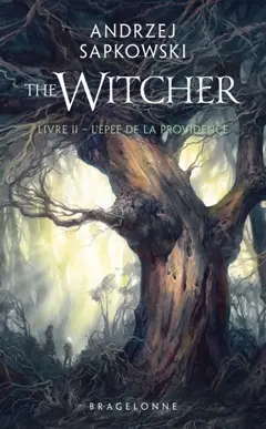 Le sorceleur, tome 2 : L'épée de la providence. The witcher. Vol. 2. L'épée de la providence