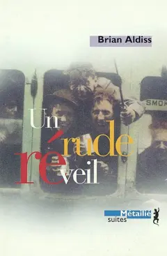 Saga de Horatio Stubbs, tome 3 : Un rude réveil