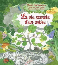 La vie secrète d'un arbre, couverture