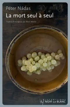 La mort seul à seul, couverture