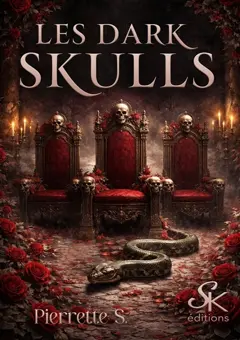 Les Dark Skulls, couverture