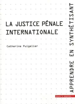 Apprendre en synthétisant, tome 10 : La justice pénale internationale