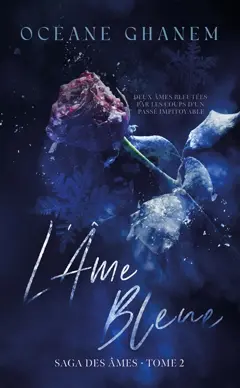 Saga des âmes, tome 2 : L'âme bleue. Vol. 2, couverture