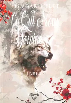 Ce qui nous domine : dans l'univers d'Akopo, tome 2, couverture