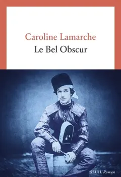 Le bel obscur, couverture