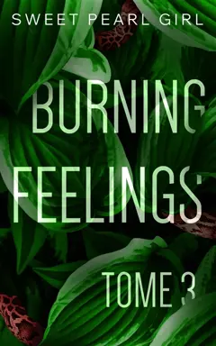 Burning feelings, tome 3