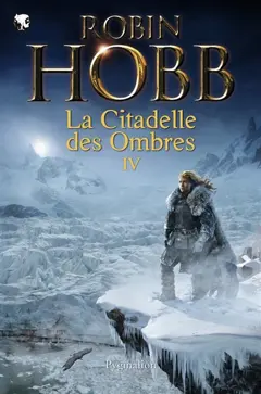 La citadelle des ombres, tome 4