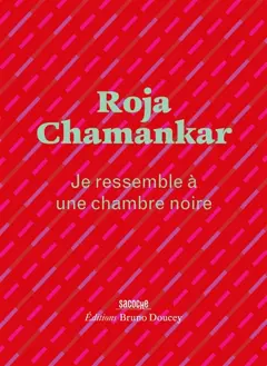 Je ressemble à une chambre noire