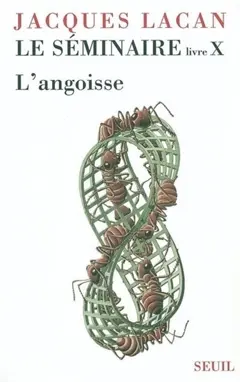 Le Séminaire, tome 10 : L'angoisse