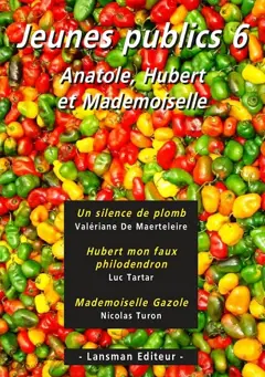 Jeunes publics, tome 6 : Anatole, Hubert et Mademoiselle