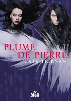 Balefire, tome 3 : Plume de pierre