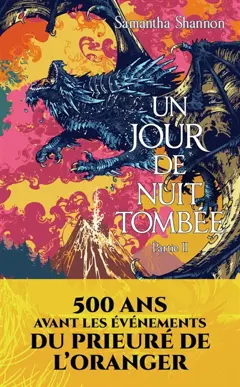 Un jour de nuit tombée, tome 2