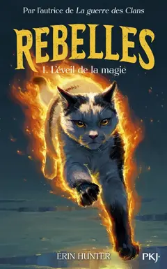 Rebelles, tome 1 : L'éveil de la magie, couverture