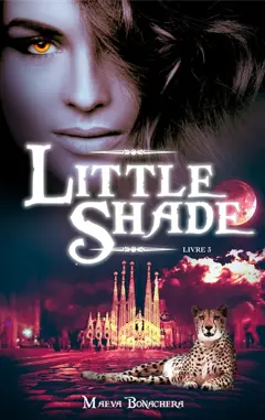 Little shade, tome 3 : Retomber sur ses pattes