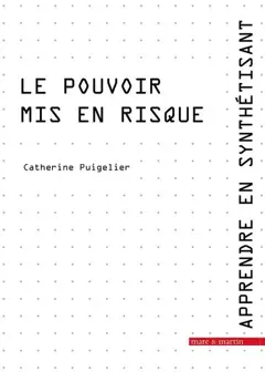 Apprendre en synthétisant, tome 5 : Le pouvoir mis en risque