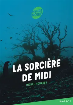 La sorcière de midi, couverture