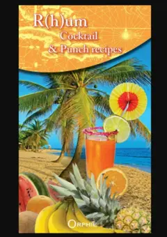 R(h)um cocktail & punch recipes, couverture