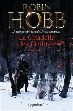 La citadelle des ombres, tome 1