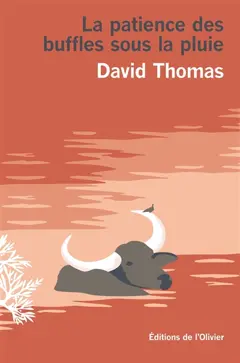 La patience des buffles sous la pluie, couverture