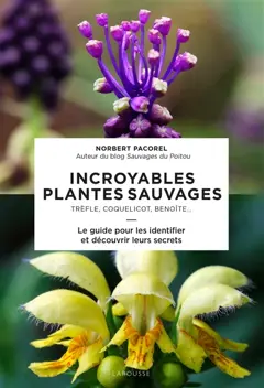Incroyables plantes sauvages : trèfle, coquelicot, benoîte… : le guide pour les identifier et découvrir leurs secrets