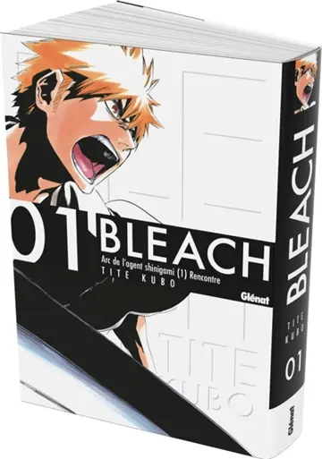 Bleach. Vol. 1. The death and the strawberry