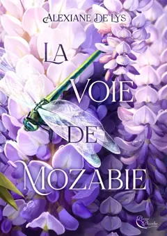 La voie de Mozabie