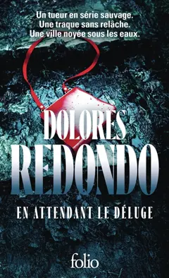 En attendant le déluge, couverture