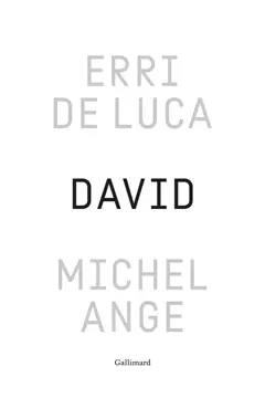 David, Michel-Ange : enquête sur une disproportion