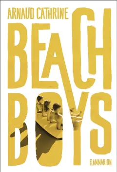 Beach boys, couverture