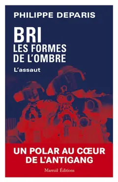BRI, les formes de l'ombre, tome 3 : L'assaut