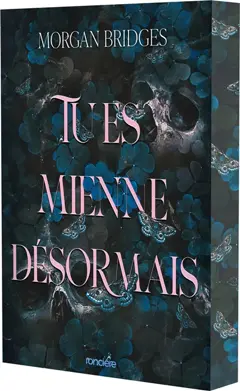 Possession, tome 2 : Tu es mienne désormais