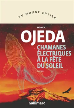 Chamanes électriques à la fête du soleil, couverture
