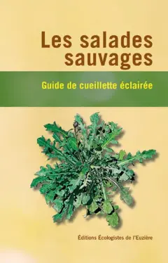 Les salades sauvages : guide de cueillette éclairée