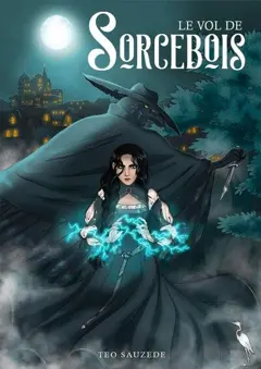 Le vol de Sorcebois, couverture