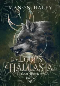 Les loups d'Hallasta, tome 2 : Les sorcières d'Etelä, couverture