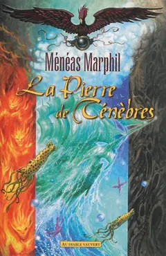 La fabuleuse histoire des lunes de Pandor, tome 4 : La pierre de ténèbres
