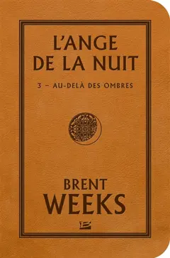 L'ange de la nuit, tome 3 : Au-delà des ombres