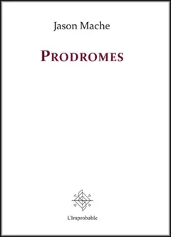 Ambre, tome 1 : Prodromes. Sur Le palle en écharpe, couverture
