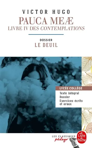Pauca meae : livre IV des Contemplations